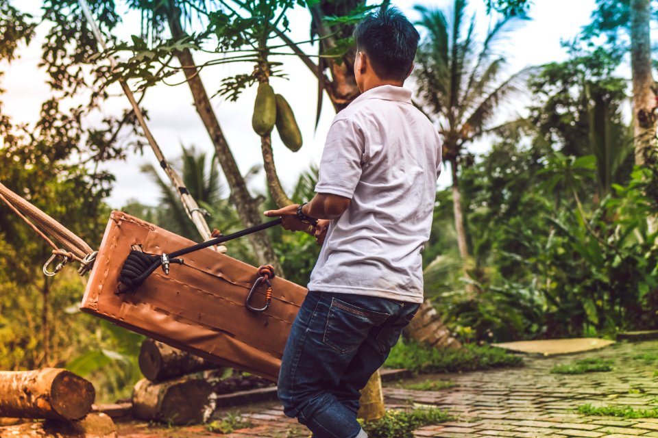 Swing in the jungle, Bali island photo