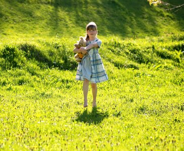 Teddy bear meadow green photo