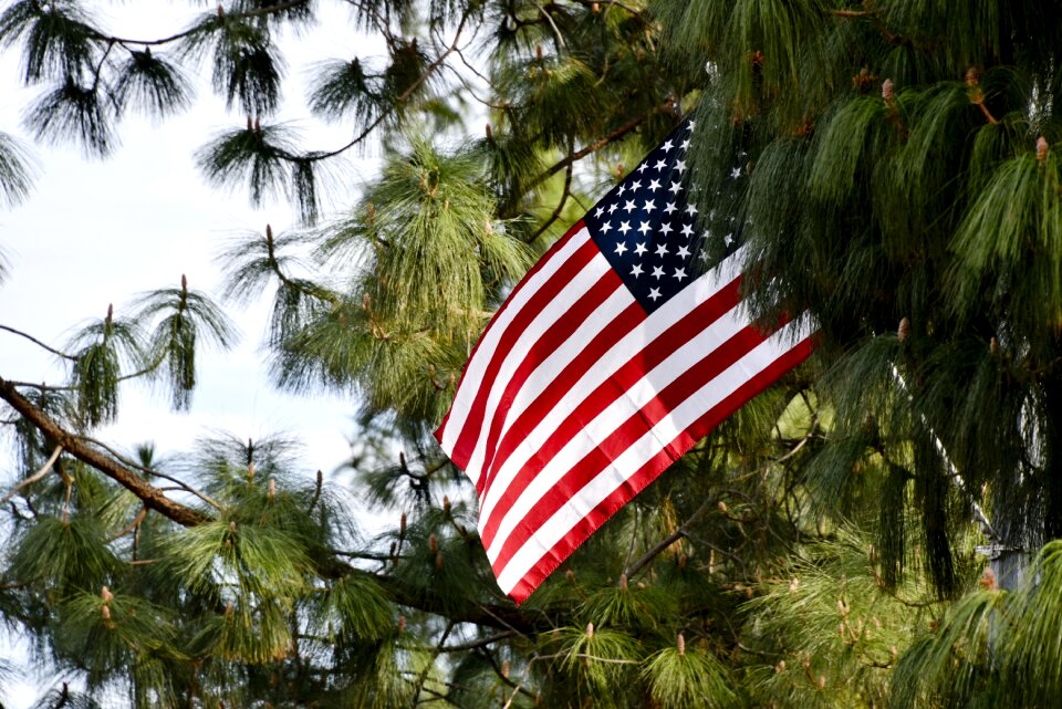 Usa flag white blue photo