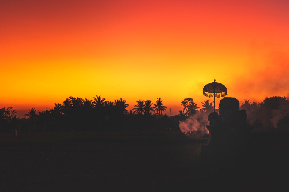 Silhouette of palm trees at tropical sunset on Bali island.