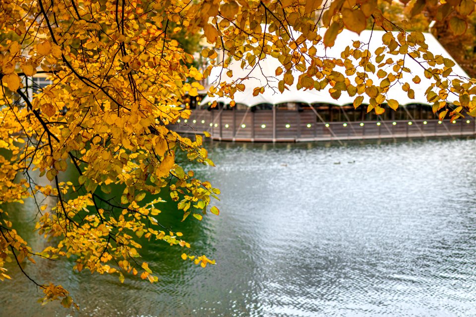 Fall pond in the park photo