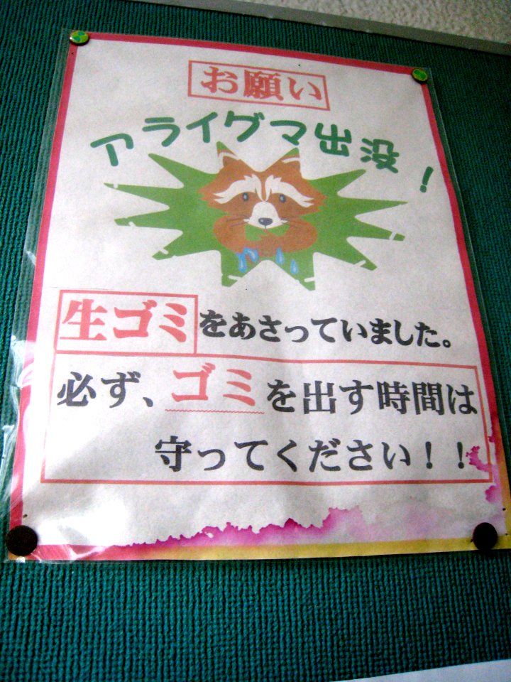 Beware of Racoons
