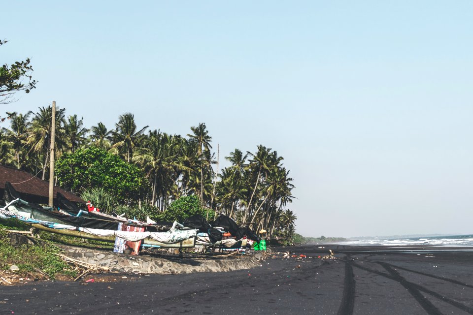 Landscape of black sand beach with beautiful palms. Bali island.