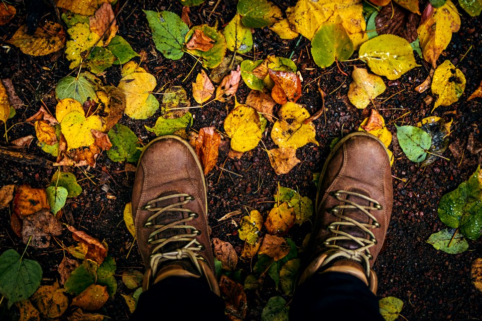 Fall, autumn, leaves, legs and shoes. Conceptual image of legs in boots on the autumn leaves. Feet shoes walking in nature