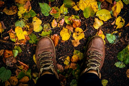 Fall, autumn, leaves, legs and shoes. Conceptual image of legs in boots on the autumn leaves. Feet shoes walking in nature photo