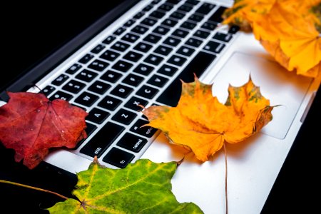Colorful Autumn leaves and laptop on a black background. Top view of work space in the fall. photo