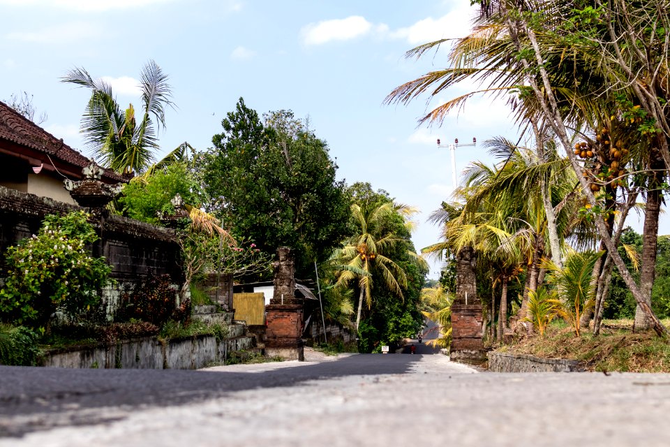 Just a balinese street on the West of island. Bali. photo