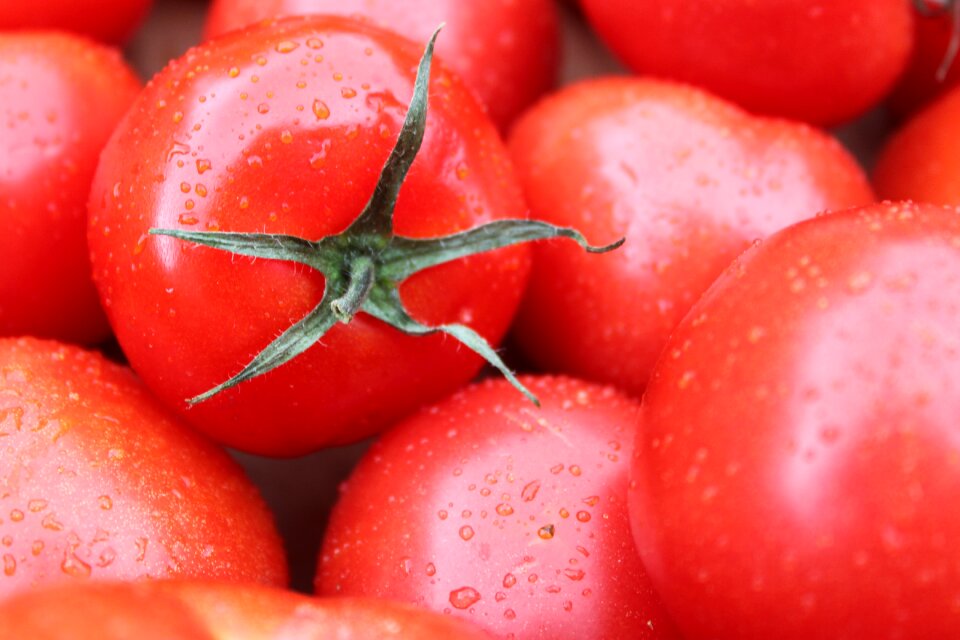 Red stalk market