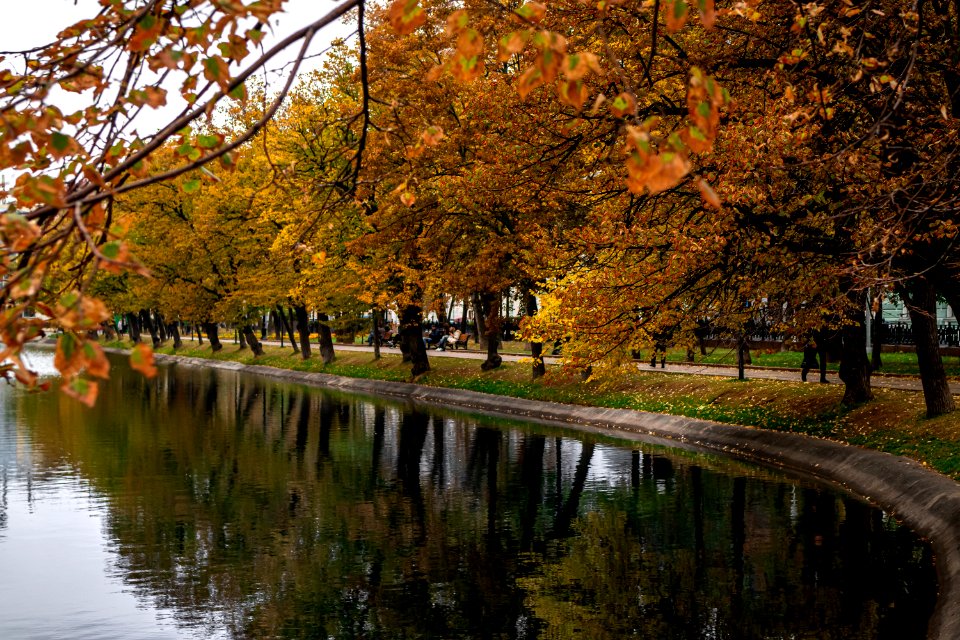 Fall pond in the park photo