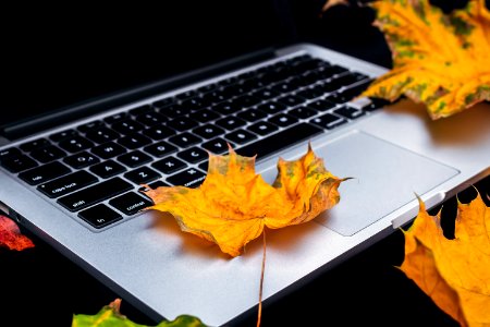 Colorful Autumn leaves and laptop on a black background. Top view of work space in the fall.