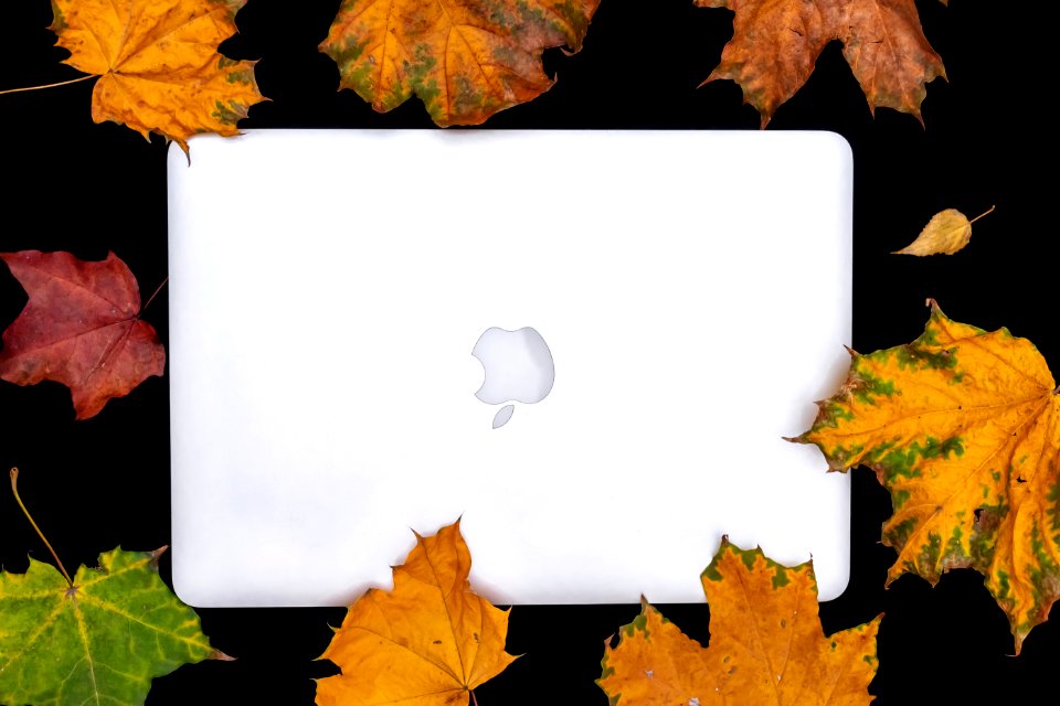 Colorful Autumn leaves and laptop on a black background. Top view of work space in the fall.