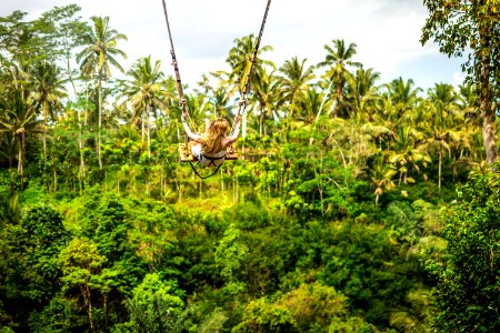 Young tourist woman swinging on the cliff in the jungle rainforest of a tropical Bali island. photo