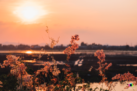 Chau Doc