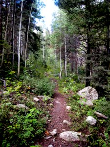 Aspen Trail