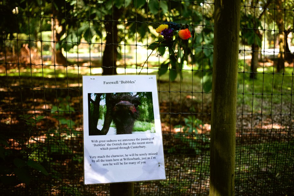 Willowbank Wildlife Reserve