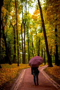 Woman with umbrella in the autumn park photo