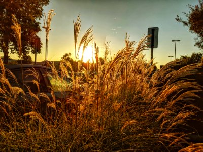2019-08-27 Sunset in Alameda
