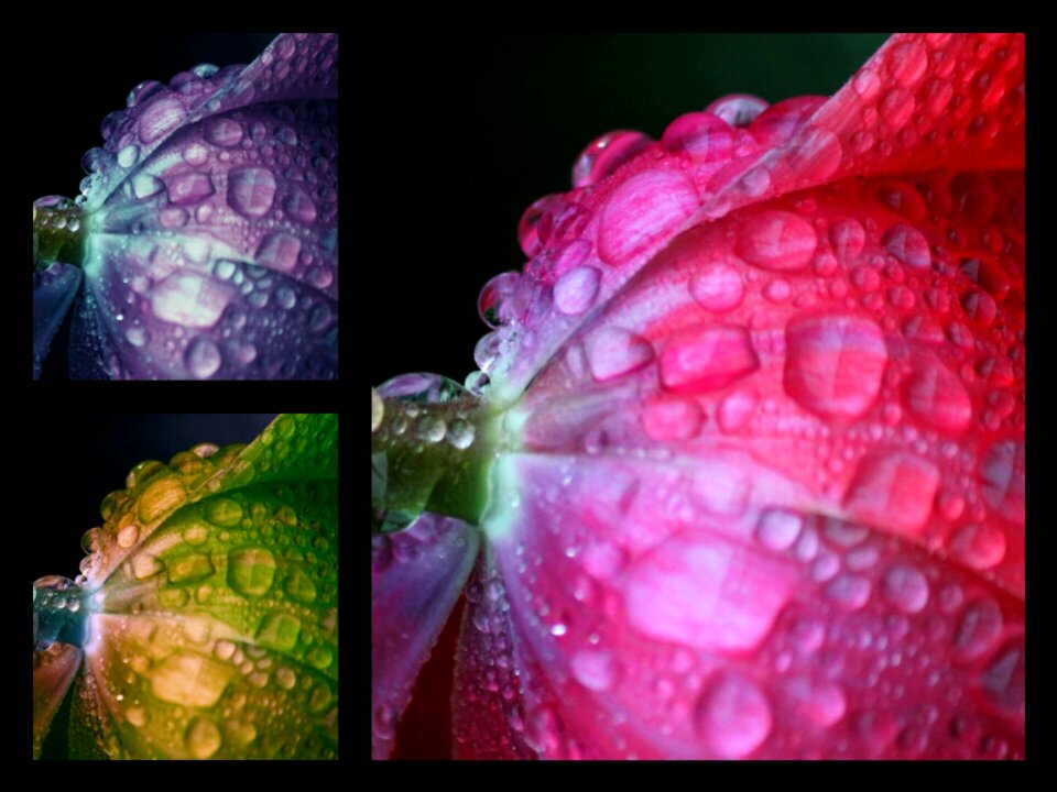 Color drop of water spring