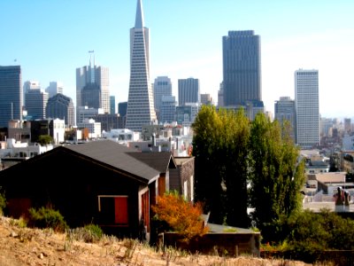 Shack wth a View