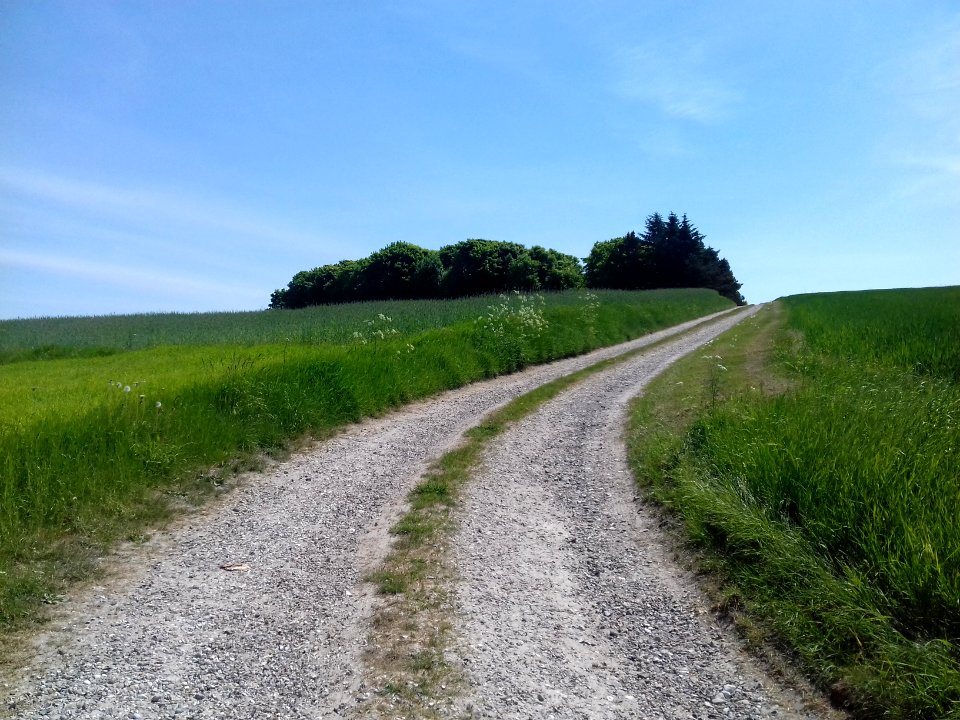 hov daas thisted prehistoric site daashuset hov denmark  (16)