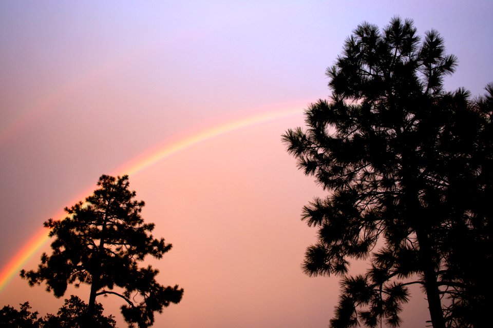 Strawberry Under the Rainbow