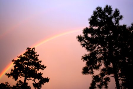 Strawberry Under the Rainbow