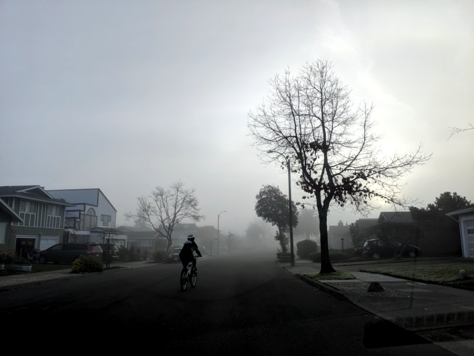 2019-12-20 Morning fog