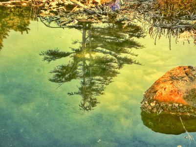 Reflection
