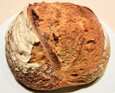 Baked food brown bread photo