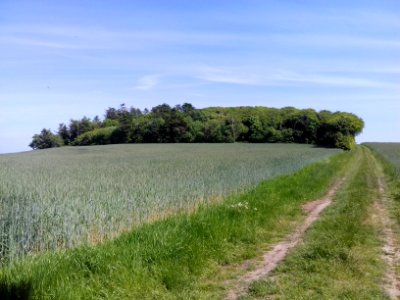 hov daas thisted prehistoric site daashuset hov denmark  (22)