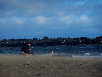 Alameda-summer beach