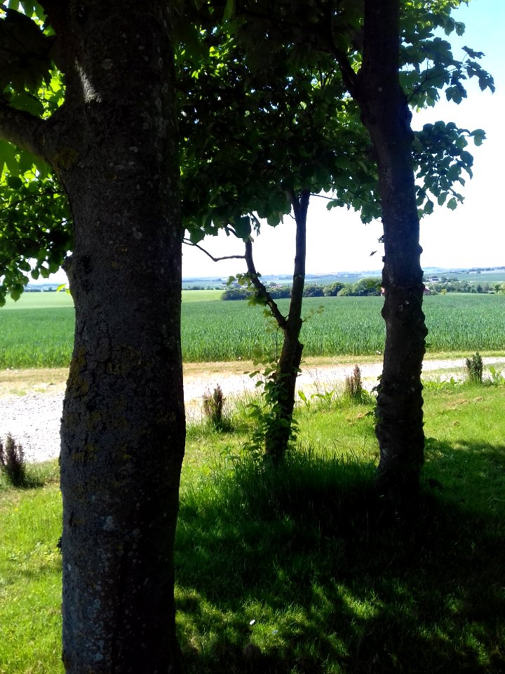 hov daas thisted prehistoric site daashuset hov denmark  (23)