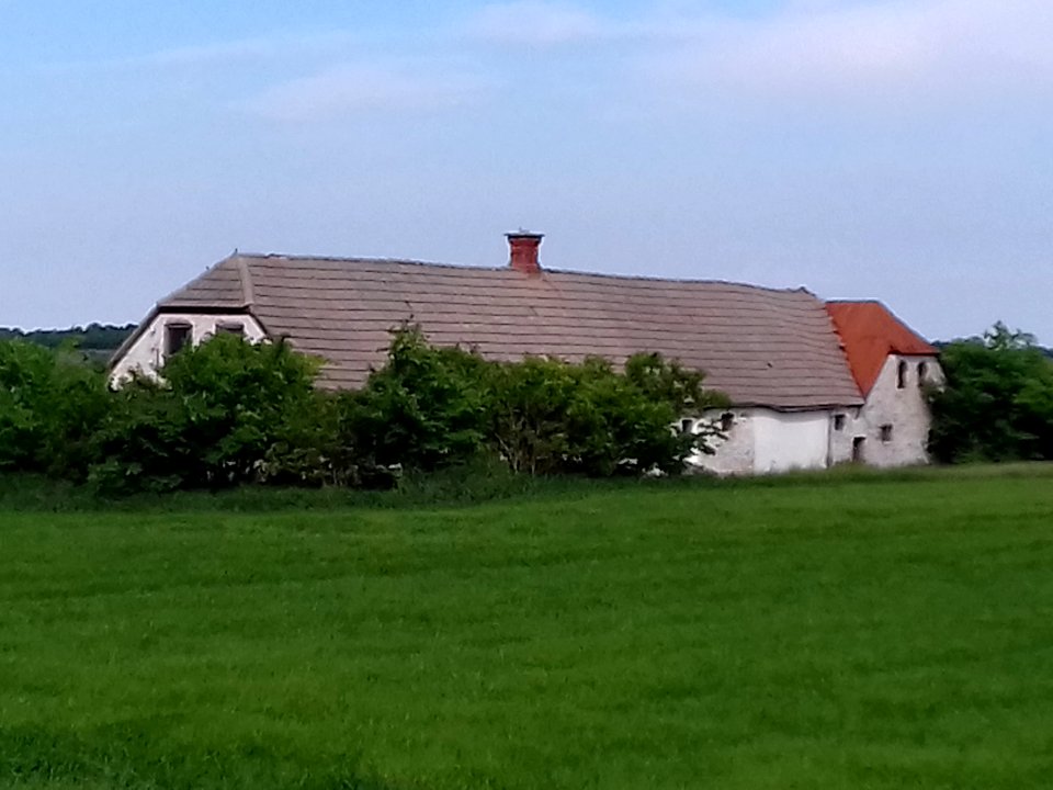 hov daas denmark  (56)