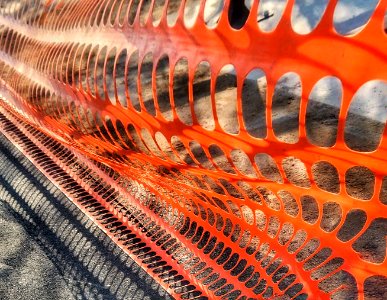 Fence Lines