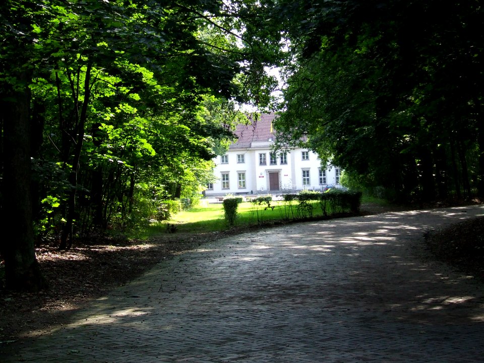 road too puszczykowo
