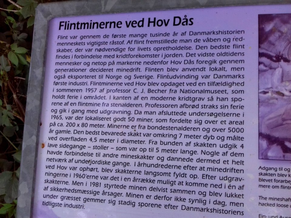hov daas denmark  (11)