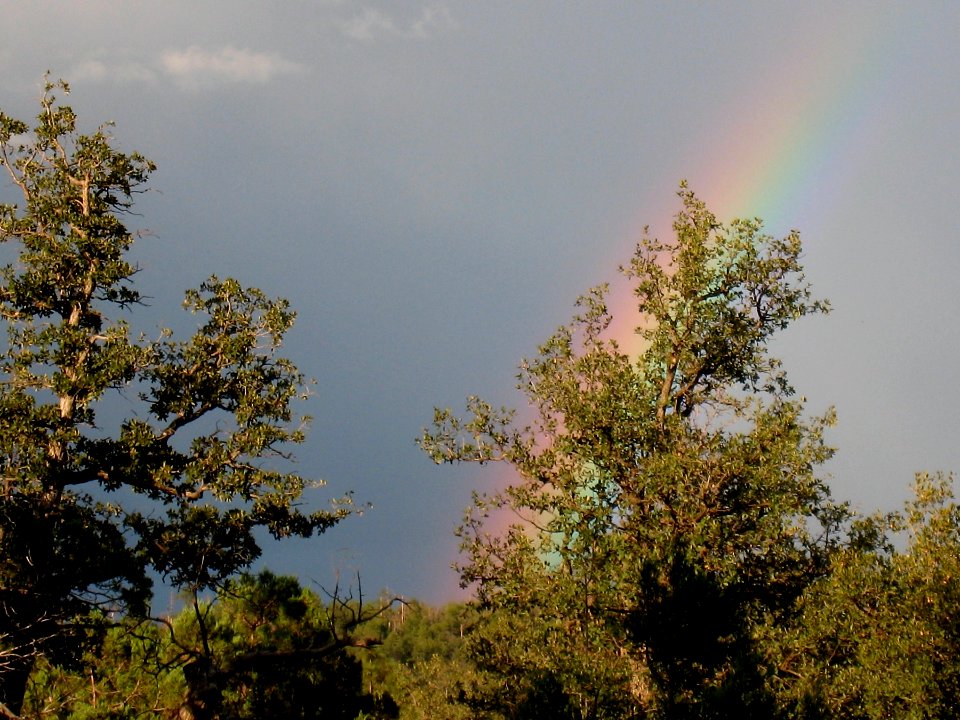 Arching Colors