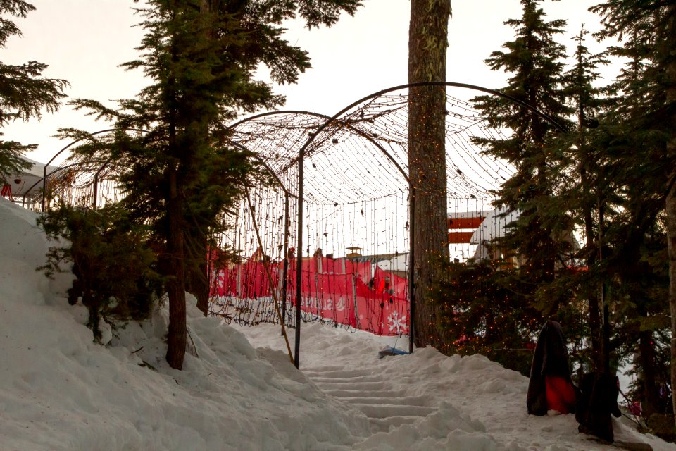 Grouse Mountain Light Walk