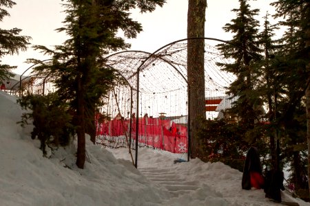 Grouse Mountain Light Walk