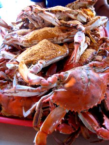 Yummy Steamed Crabs