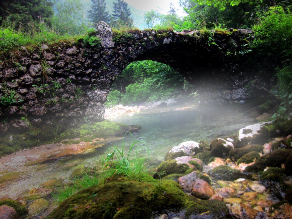 Old bridge fantasy forest