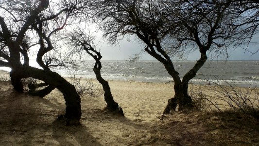 Bassin d'Arcachon