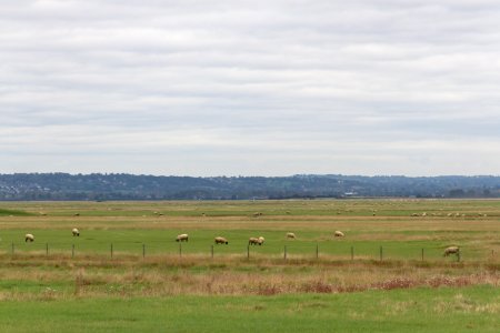 Rothko-esque Landscape