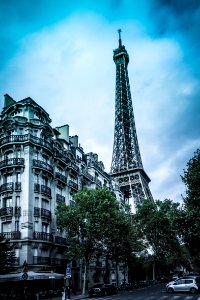 Parisian Icon