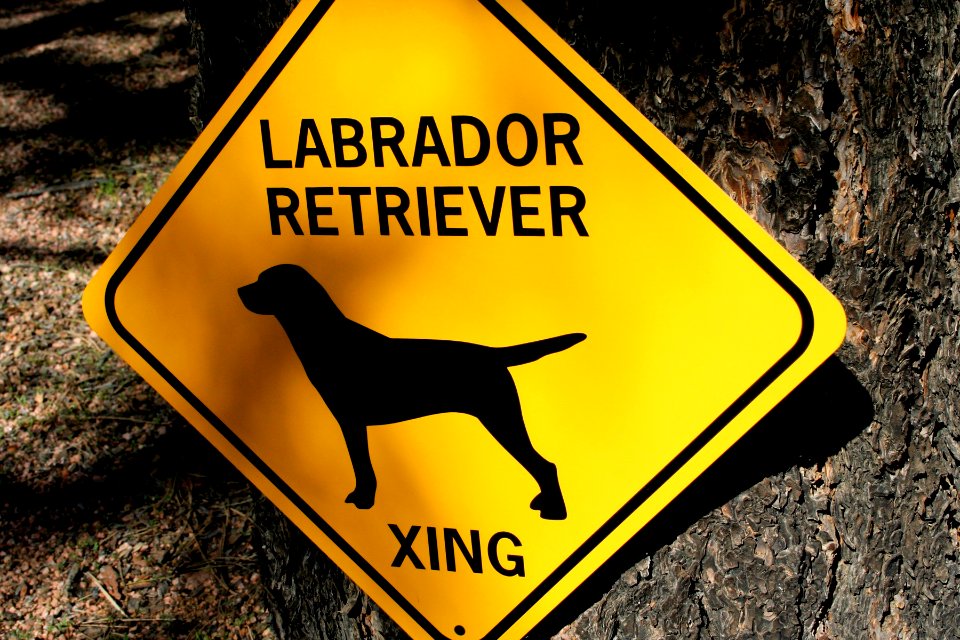 Road Sign