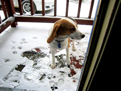 I'd Like to Come Inside Now