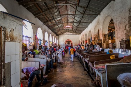The Fish Market