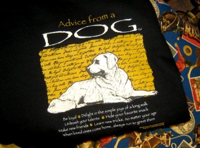 Dog Advice