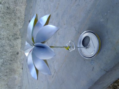 flor de lata 2
