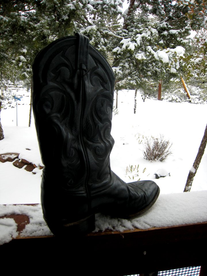 This Boot Was Made for Walking photo